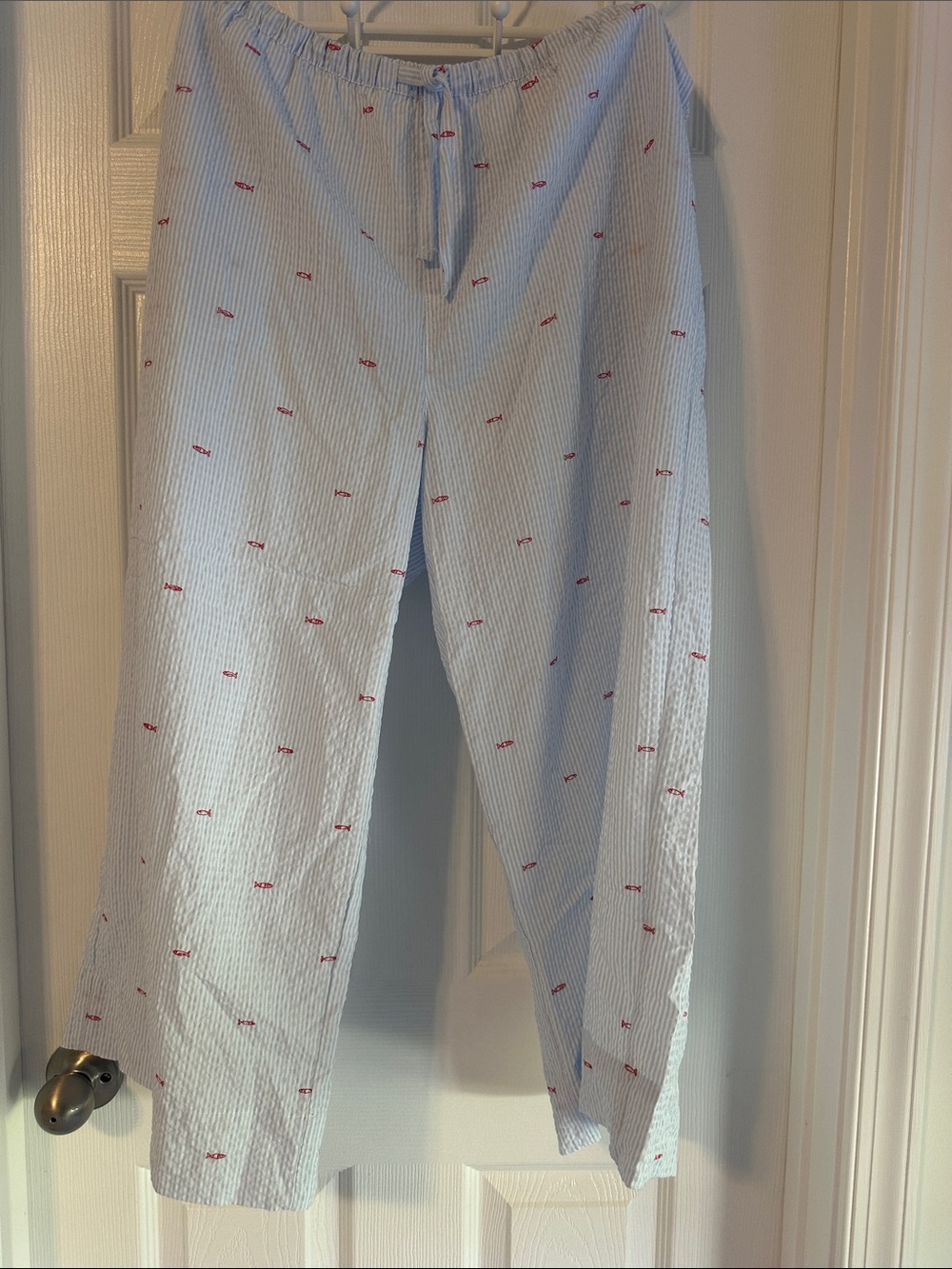 Auden Light Blue Striped Seersucker Pants with Red Embroidery